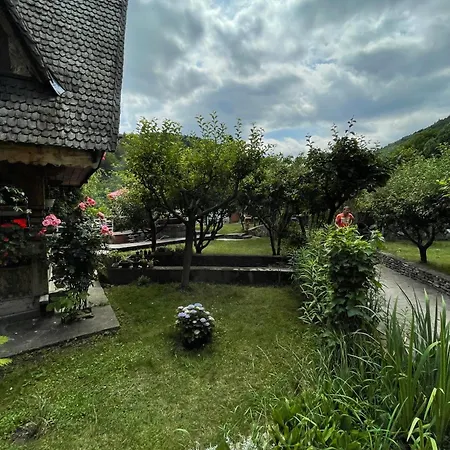 Casa Ieud - Catun Sinaia